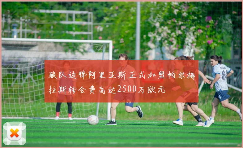 狼队边锋阿里亚斯正式加盟帕尔梅拉斯转会费高达2500万欧元