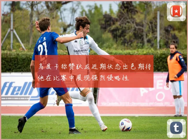 乌度卡称赞狄龙近期状态出色期待他在比赛中展现强烈侵略性